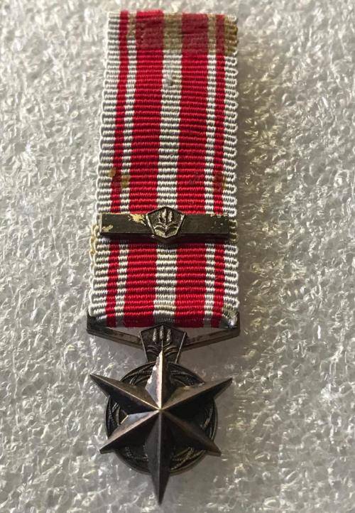 MINIATURE SA POLICE MEDAL FOR COMBATING TERRORISM (1974)-SILVER MEDAL