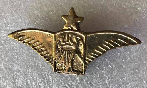 UNKNOWN BRASS CAST PARA WING