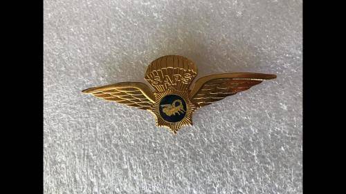POLICE TASK FORCE PARAWINGS IN GOLD - 2 PINS