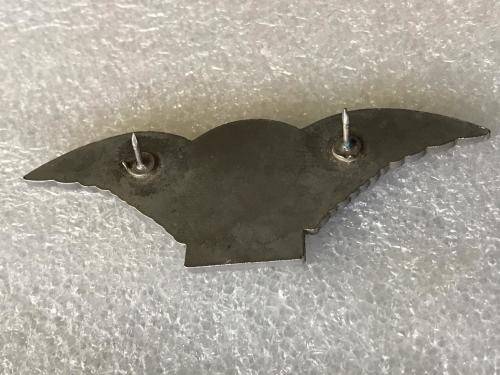 UNIDENTIFIED PARAWINGS - 2 PINS