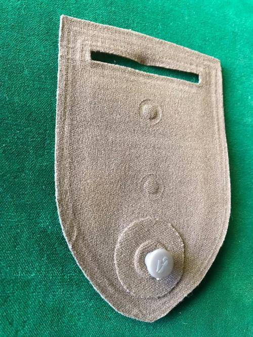 RECCE-SPECIAL FORCES REGIMENT TUPPER FLASH-GUARANTEED ORIGINAL- ONE PIN