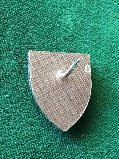 RECCE CRAVAT PIN-1 RECCE-AS NO CRAVATS WERE WORN,THESE BECAME LAPEL PINS FOR CIVILIAN DRESS-ORIGINAL
