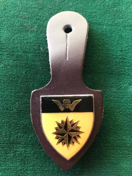 5 RECCE REGIMENT FOB BADGE-GUARANTEED ORIGINAL IVORY COLOURED- 2 PINS