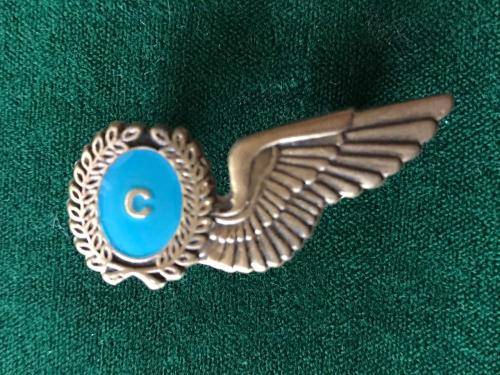 SAAF MESS DRESS WING FOR CHEFF IN BRONZE- 2 PINS