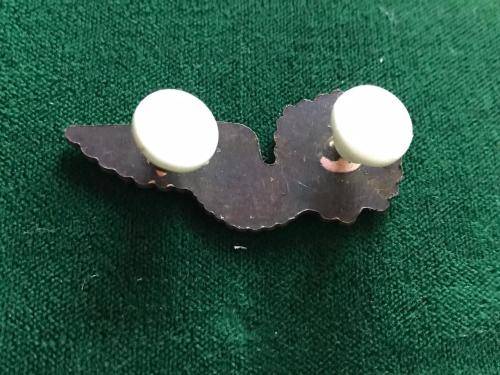 SAAF MESS DRESS WING FOR CHEFF IN BRONZE- 2 PINS