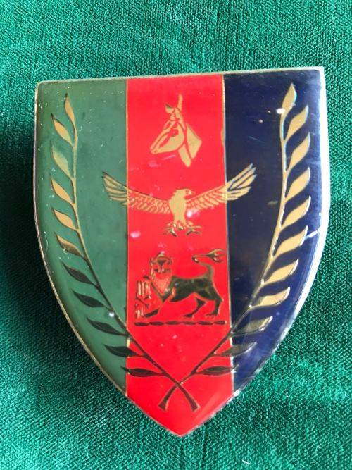 SA CHIEF OF JOINT COMBAT FORCES FLASH- PINS REPLACED