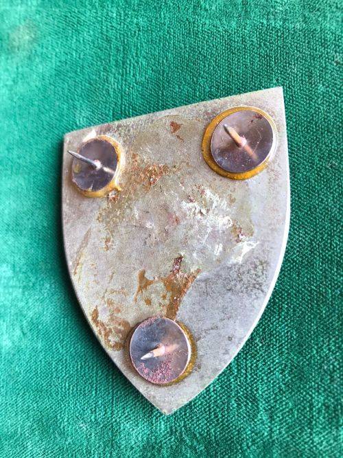 SA CHIEF OF JOINT COMBAT FORCES FLASH- PINS REPLACED