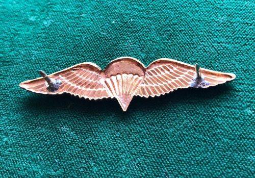 SA PARA DISPATCHER OR 50 JUMPS OR MORE MESS DRESS WING-GILT WINGS WITH LUCITE COVERED CENTRE-WORN FR
