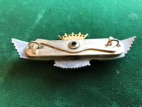 SPAIN OBSERVER PARA WING-PRE 1977