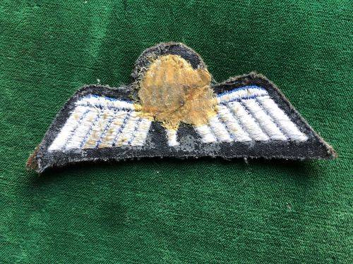 NETHERLANDS ARMY PARA B WING -EMBROIDERED