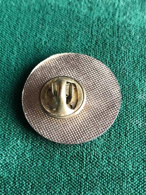 511 TH PARA INF. REGT. STICK PIN