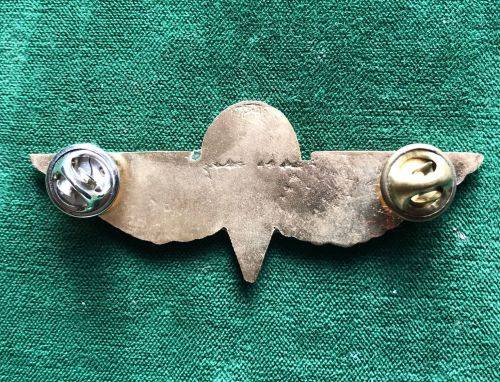 SAS PARA BADGE- 2 PINS