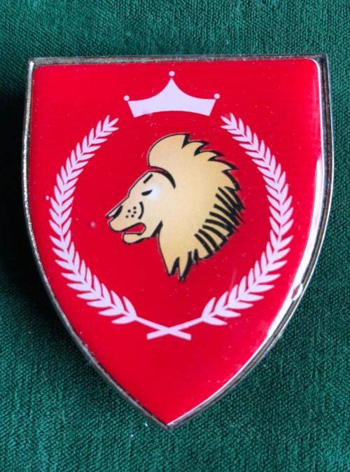 32 BATTALION-FOXTROT COMPANY FLASH- 3 PINS- NEVER USED