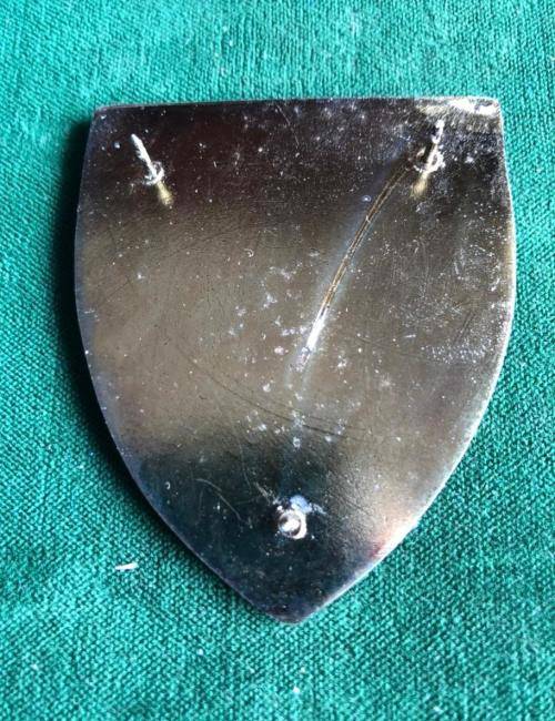 32 BATTALION-FOXTROT COMPANY FLASH- 3 PINS- NEVER USED
