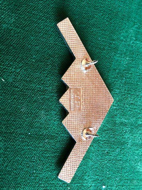 STEALTH BOMBER BADGE- 2 PINS