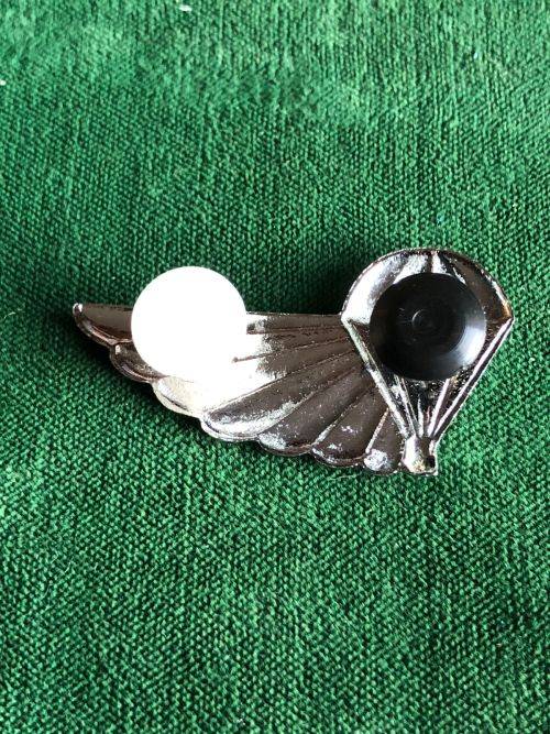 101 AIR SUPPLY CHROME AND ENAMEL HALF WING- 2 PINS