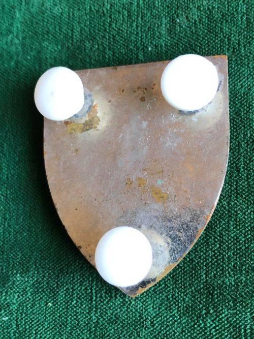 SWA 101 BATTALION POCKET FLASH- 3 PINS