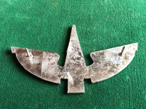 RECCE,PROTOTYPE BERET BADGE,PROPOSED IN 1979,CHROME WINGS,YELLOW SWORD- 2 PINS-IT WAS REPORTED THAT