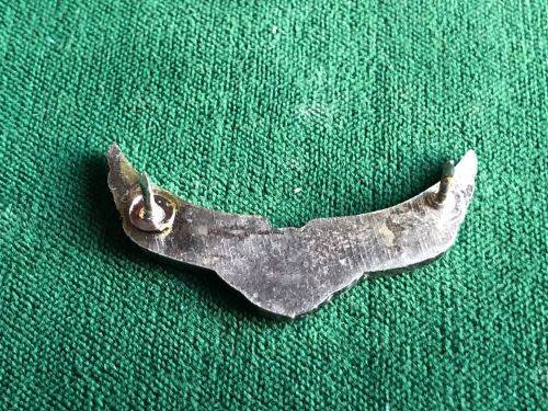 BOPHUTHATSWANA DEFENCE FORCE PARACHUTE INSTRUCTORS WING-RED ENAMEL CENTRE WITH CHROME WINGS-THIS IS