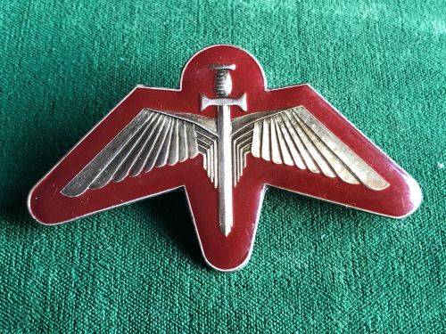 BOPHUTHATSWANA DEFENCE FORCE-TASK FORCE(SPECIAL FORCES) LUCITE COVERED,CAP BADGE-2X SCREW LUGS