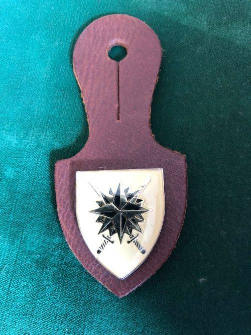 RECCE HQ POCKET/FOB BADGE- 2 PINS