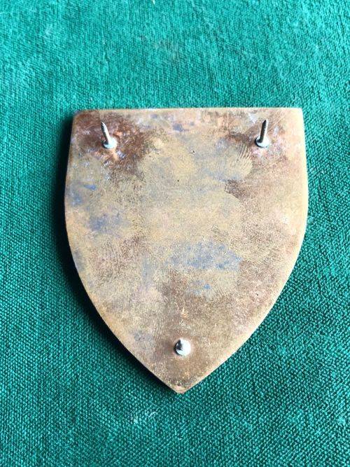 44 PARA BRIGADE HQ FLASH- 3 PINS