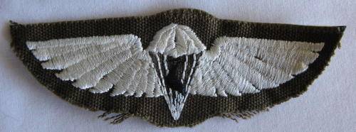 CISKEI PARA WING NO C853 IN OWEN.  DESCRIBED AS FAKE.