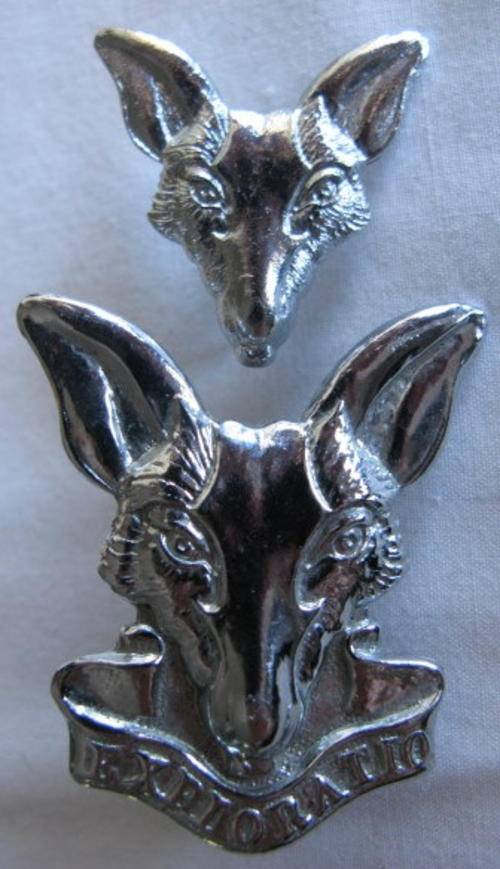 SA INTELLIGENCE CHROMED CAP & COLLAR BADGE - LUGS INTACT