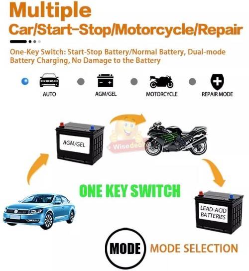 12V Intelligent Pulse Repair Charger