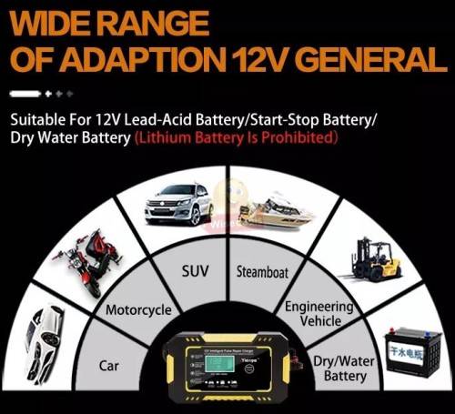 12V Intelligent Pulse Repair Charger