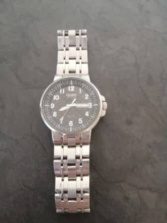Citizen ecodrive watch