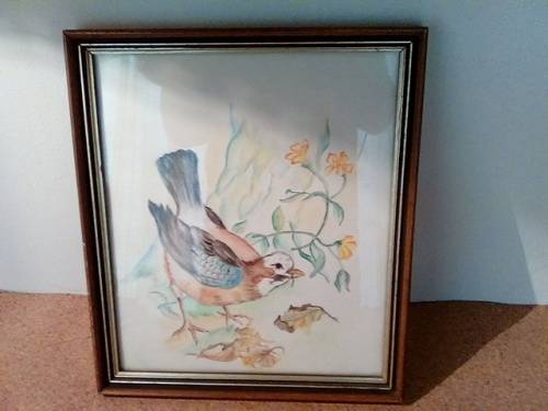 Framed Unsigned Water Colour Painting of Bird