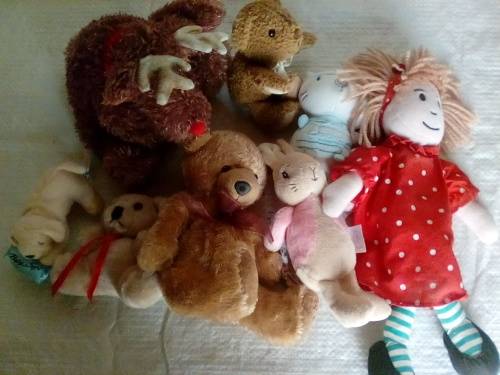 Some Soft Toys including Peter Rabbit & Woolworth's Rag Doll (Ref 443)