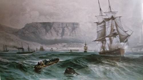 Vintage print of ships at the Cape
