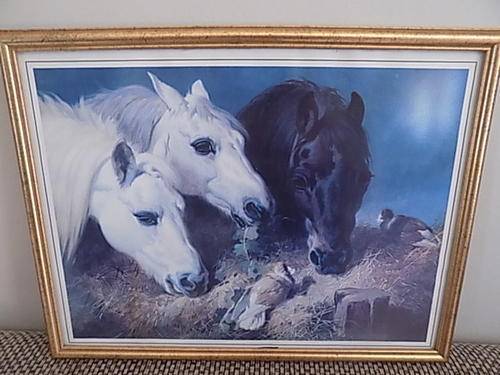 Superb Signed Print of Horses - Appears to be Dated 1847