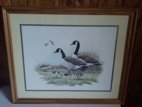 E.Ranbow Litho Print in Pine Wood Frame