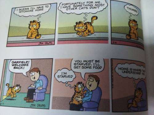 Garfield Triple Pack Full Colour Comic Strip Book