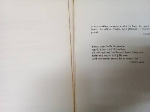 Stephen King - Cycle of the Werewolf. Illustrated