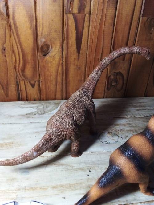 Two Solid Dinosaur Toys