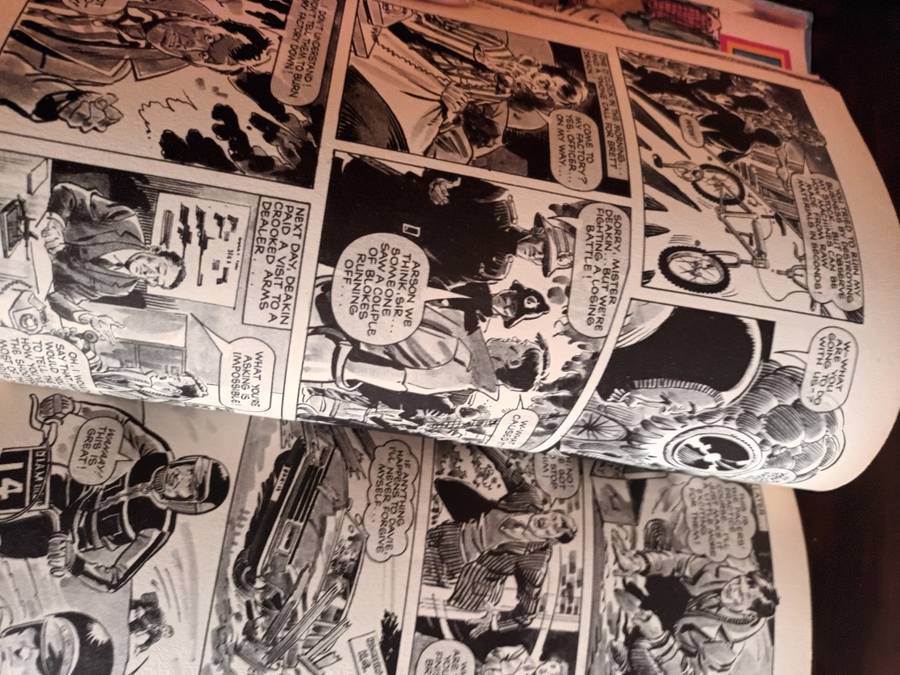 Tiger Annual 1987