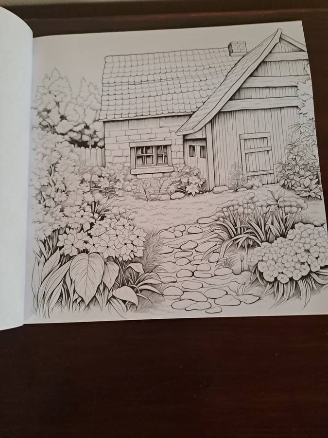 Colouring Book for Adults
