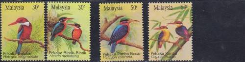 Malaysia superb kingfishers set as scanned