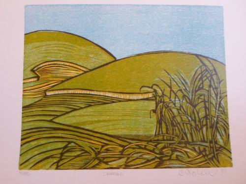 WOW!! RARE!! CECIL SKOTNES TRIAL WOODCUT "CANEFIELD" 300 X 240mm  VALUE R5500