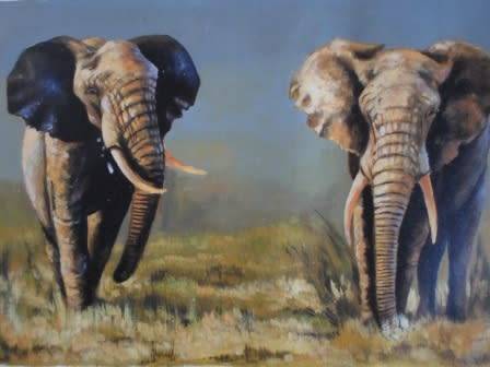 WOW!!!! BANDA SAKANYA "ELEPHANTS" OIL ON CANVAS 560 X 360mm VALUE R2000