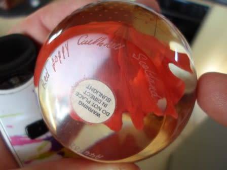 STUNNING!! CAITHNESS GLASS FLOWER PAPERWEIGHT  WOW!!