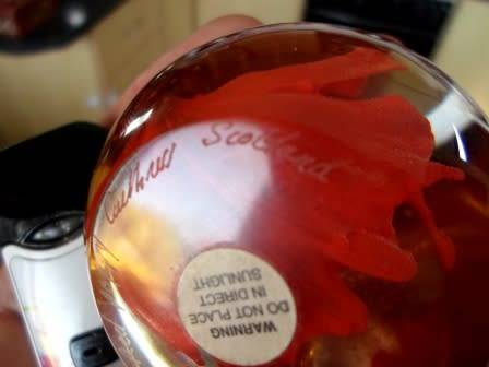 STUNNING!! CAITHNESS GLASS FLOWER PAPERWEIGHT  WOW!!