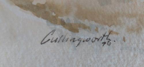 Rare!! John Cullingworth cape watercolour 520 x 240mm Value R5000