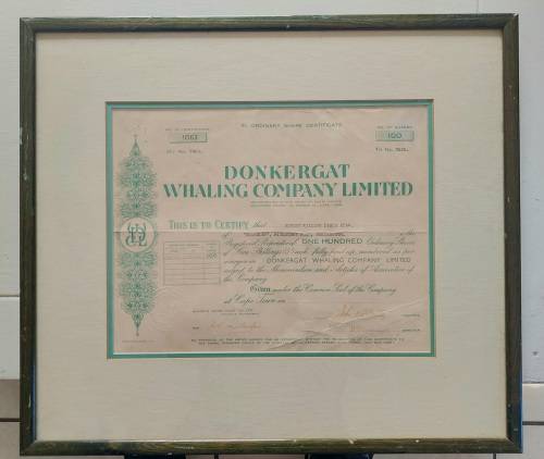 Rare!! Antique Donkergat whaling co. shares certificate circa 1910