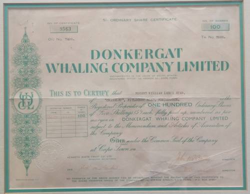 Rare!! Antique Donkergat whaling co. shares certificate circa 1910