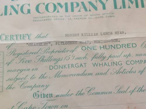Rare!! Antique Donkergat whaling co. shares certificate circa 1910